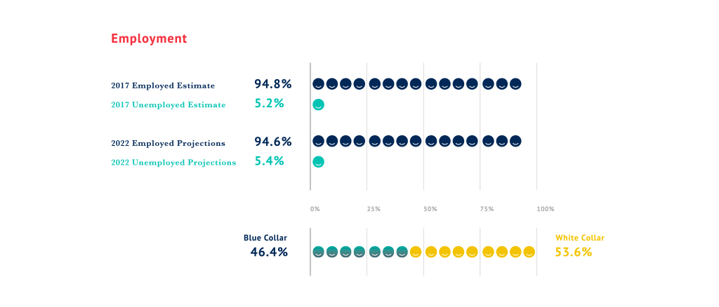 Employment Infographic 94.8% 2017 employed estimate