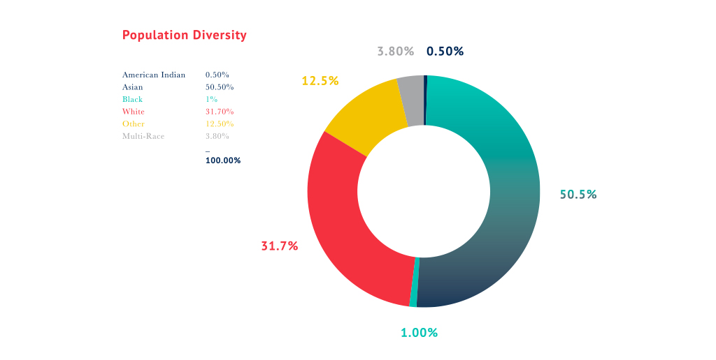 Population Diversity Infographic