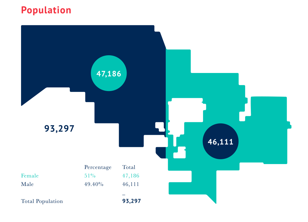 Population Infographic - 51% Female 49% Male